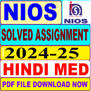 NIOS DATA ENTRY OPERATIONS 229 Solved Assignment 2024-25 in Hindi