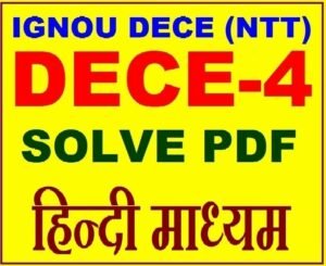 DECE 4 Project in Hindi - sample-5