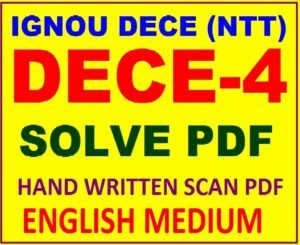 DECE 4 Project in English - sample-5